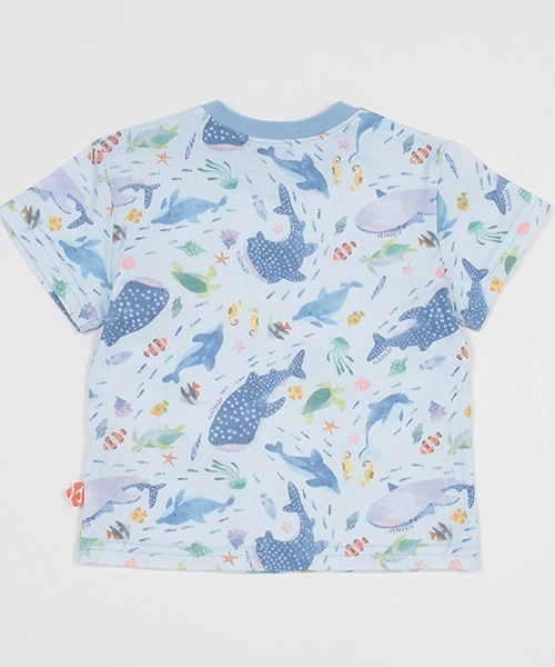 kladskap（クレードスコープ）の「海のいきもの総柄半袖Tシャツ（Tシャツ/カットソー・キッズ・サックスブルー/ホワイト・90cm/100cm/110cm/120cm/80ｃｍ/130cm）」の3枚目の写真
