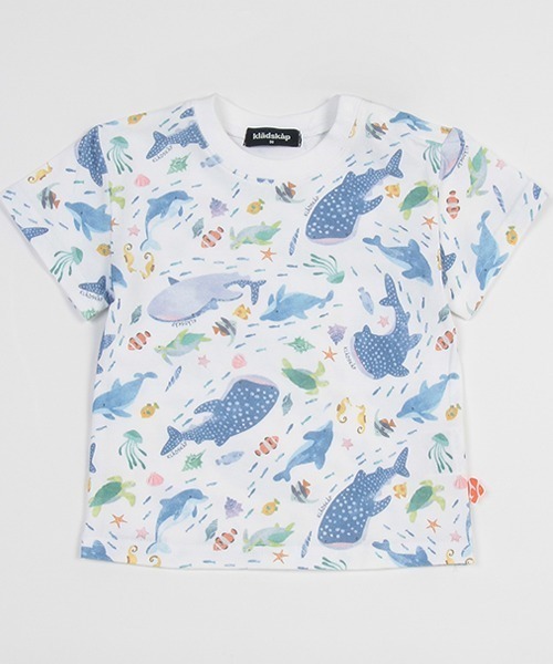 kladskap（クレードスコープ）の「海のいきもの総柄半袖Tシャツ（Tシャツ/カットソー・キッズ・サックスブルー/ホワイト・90cm/100cm/110cm/120cm/80ｃｍ/130cm）」の12枚目の写真
