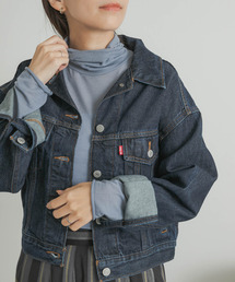 URBAN RESEARCH DOORS | カシミヤシルク混タートルネックカットソー(Tシャツ/カットソー)