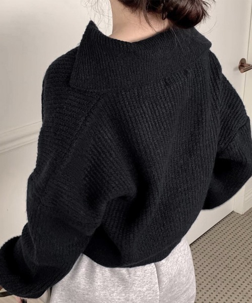 Miniministore(ミニミニストア)の「スキッパーニットvネック 襟付きセーター(ニット/セーター・レディース・ダークグレー/ベージュ/ブラック・FREE)」の11枚目の写真