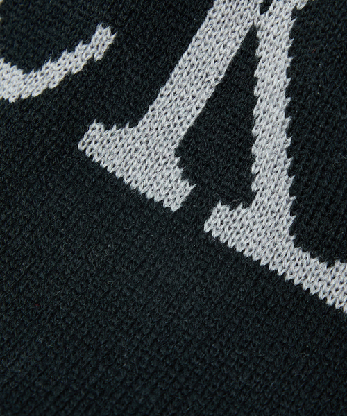 Dickies（ディッキーズ）の「【DICKIES/ディッキーズ】BIG LOGO BEANIE/ビッグロゴビーニー（ニットキャップ/ビーニー・レディース・ブラック/ホワイト・フリー）」の12枚目の写真