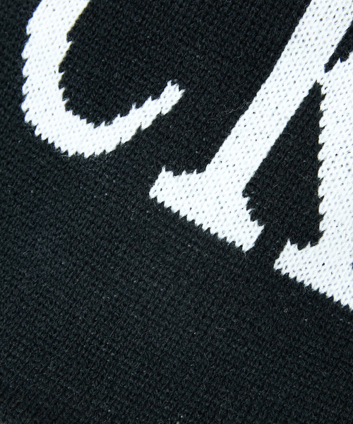 Dickies（ディッキーズ）の「【DICKIES/ディッキーズ】BIG LOGO BEANIE/ビッグロゴビーニー（ニットキャップ/ビーニー・レディース・ブラック/ホワイト・フリー）」の16枚目の写真