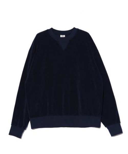 江戸時代 森徹山 真筆 水中鴨 掛軸 共箱付 茶掛 索丸山応挙