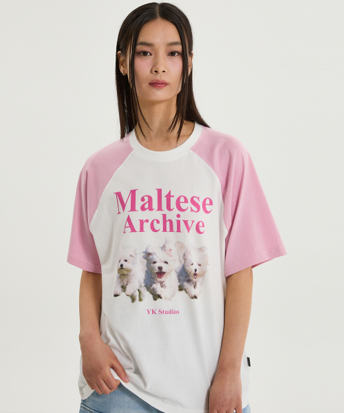 WaiKei(ワイケイ)の「マルチーズアーカイブ ラグラン半袖Tシャツ 薄いピンク(Tシャツ/カットソー・レディース・その他・0/1/2)」の1枚目の写真