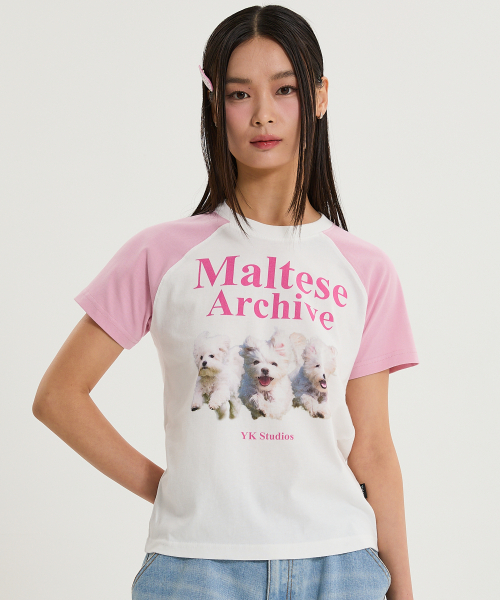 WaiKei(ワイケイ)の「マルチーズアーカイブ ラグラン半袖Tシャツ 薄いピンク(Tシャツ/カットソー・レディース・その他・0/1/2)」の2枚目の写真