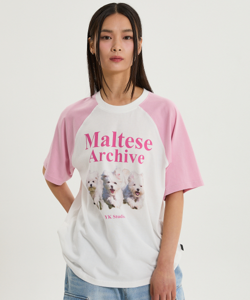 WaiKei(ワイケイ)の「マルチーズアーカイブ ラグラン半袖Tシャツ 薄いピンク(Tシャツ/カットソー・レディース・その他・0/1/2)」の3枚目の写真