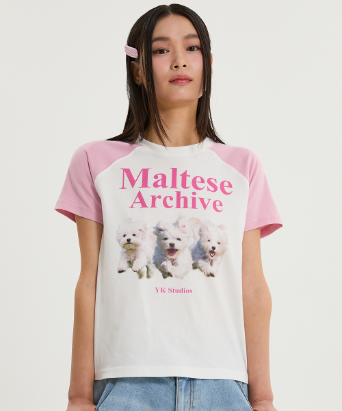 WaiKei(ワイケイ)の「マルチーズアーカイブ ラグラン半袖Tシャツ 薄いピンク(Tシャツ/カットソー・レディース・その他・0/1/2)」の4枚目の写真