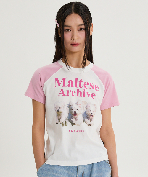 WaiKei(ワイケイ)の「マルチーズアーカイブ ラグラン半袖Tシャツ 薄いピンク(Tシャツ/カットソー・レディース・その他・0/1/2)」の5枚目の写真