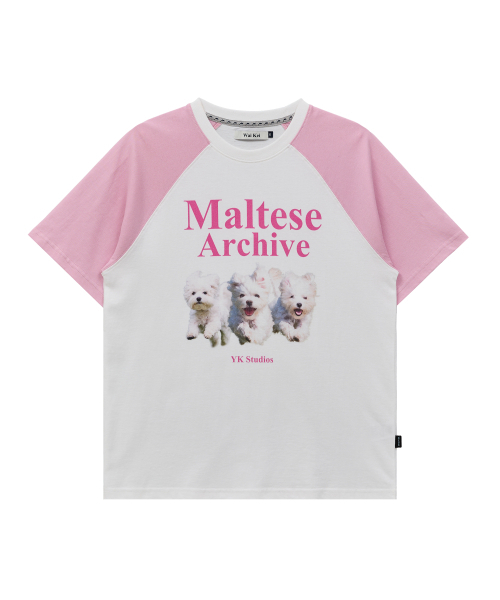 WaiKei(ワイケイ)の「マルチーズアーカイブ ラグラン半袖Tシャツ 薄いピンク(Tシャツ/カットソー・レディース・その他・0/1/2)」の6枚目の写真