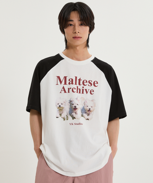 WaiKei(ワイケイ)の「マルチーズアーカイブ ラグラン半袖Tシャツ 薄いピンク(Tシャツ/カットソー・レディース・その他・0/1/2)」の8枚目の写真