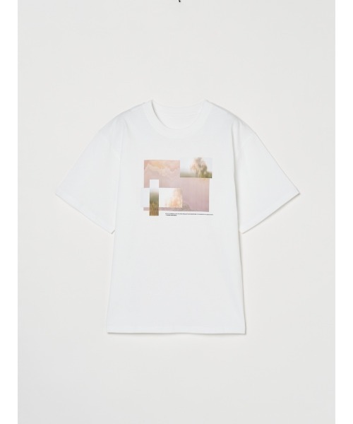 sahara(サハラ)の「Graphic Tee(Tシャツ/カットソー・レディース・その他2/その他1・FREE)」の16枚目の写真