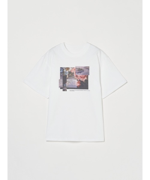 sahara(サハラ)の「Graphic Tee(Tシャツ/カットソー・レディース・その他2/その他1・FREE)」の15枚目の写真
