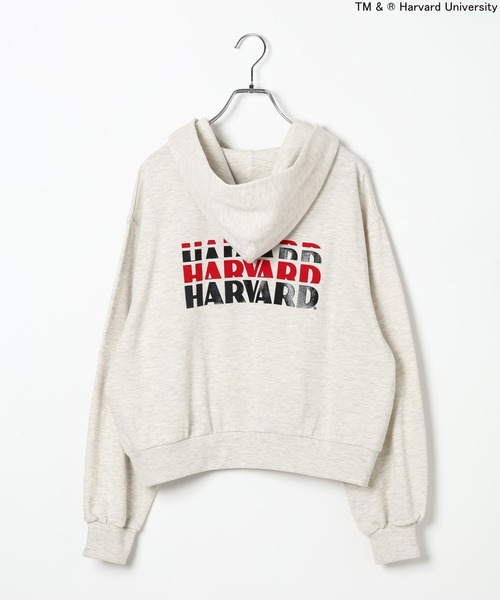 Russell Athletic（ラッセルアスレティック）の「【RUSSELL ATHLETIC (ラッセルアスレティック）】別注カレッジフーディー（スウェット・レディース・オフホワイト/ボルドー・FREE）」の12枚目の写真