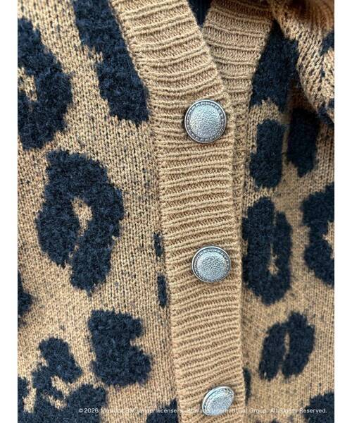 EVRIS(エヴリス)の「【ザ・ローリング・ストーンズ】Vネックカーディガン(カーディガン/ボレロ・レディース・グレー/ブラウン・FREE)」の18枚目の写真