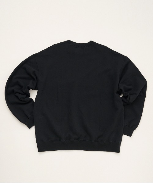 SEDAN ALL-PURPOSE(セダンオールパーパス)の「SEDAN ALL-PURPOSE セダンオールパーパス / OG Logo Crewneck Sweatshirt ロゴ刺繍クルーネックスウェット トレーナー / SD21F-CT10(スウェット・メンズ・ブラック/ライトベージュ・X-LARGE/LARGE/MEDIUM)」の6枚目の写真