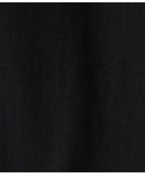 WP（ダブリューピー）の「WP / ダブリューピー：WP×CAMBER WORLD GREATS B2 L/Tee：WP11-LT03[WAX]（Tシャツ/カットソー・メンズ・ブラック×ブルー/ホワイト×レッド・XL/L/XXL）」の7枚目の写真