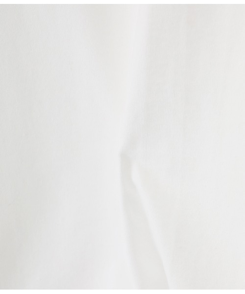 WP（ダブリューピー）の「WP / ダブリューピー：WP×CAMBER WORLD GREATS B2 L/Tee：WP11-LT03[WAX]（Tシャツ/カットソー・メンズ・ブラック×ブルー/ホワイト×レッド・XL/L/XXL）」の15枚目の写真