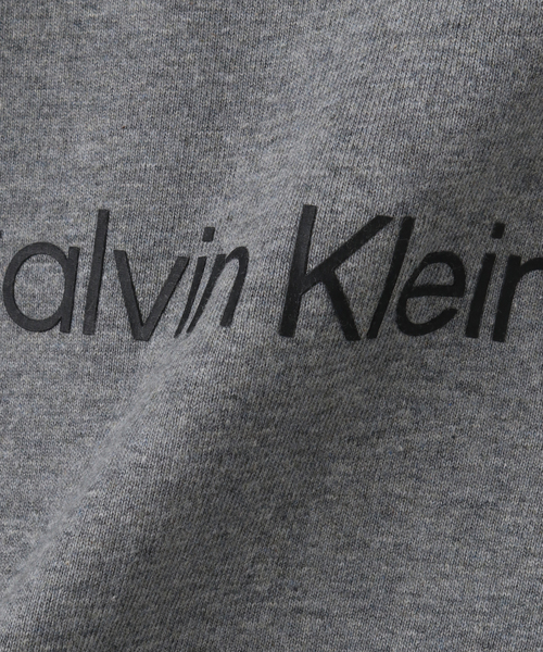 Calvin Klein(カルバン・クライン)の「【Calvin Klein / カルバン クライン】SS STANDARD LOGO TEE(Tシャツ/カットソー・メンズ・ホワイト/ブラック/チャコールグレー/ブラック系その他/パープル・LARGE/MEDIUM/SMALL)」の22枚目の写真