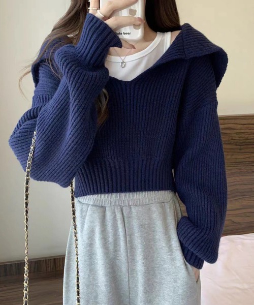 THISIS(ディスイズ)の「クロップド丈 ニットトップス レディース(ニット/セーター・レディース・ブルー/グレー/ブラック/アイボリー/ベージュ・FREE)」の5枚目の写真