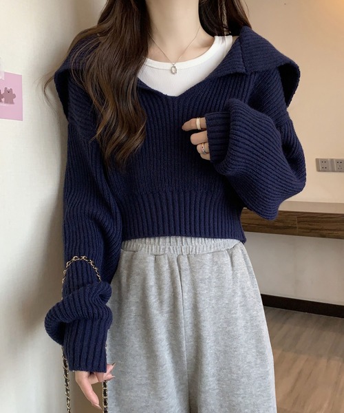 クロップド丈 ニットトップス レディース（ニット/セーター