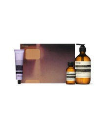 Aesop イソップ 3点セット 楽天市場】【純正巾着付】Aesop イソップ イソップ スクリーン3