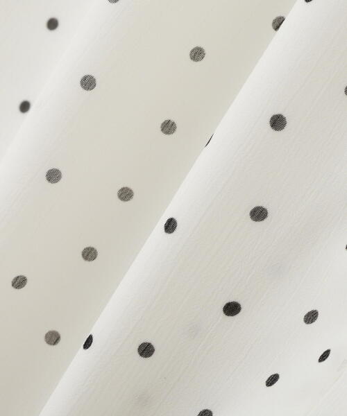 PROPORTION BODY DRESSING（プロポーションボディドレッシング）の「ドット柄ブラウス / 1215210605（シャツ/ブラウス・レディース・ブラック/ホワイト系その他/ブラウン・FREE）」の21枚目の写真