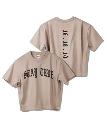 PRINOAR（プリノア）の「カーブドステイトゥルーセミクロップ半袖Tシャツ - ジンジャーベージュ（Tシャツ/カットソー）」