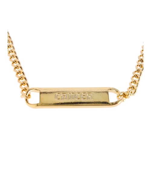 PAMEO POSE（パメオポーズ）の「Cancer Plate Choker（ネックレス・レディース・シルバー/ゴールド・FREE）」の11枚目の写真
