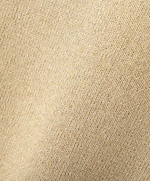 NATURAL BEAUTY BASIC（ナチュラルビューティーベーシック）の「◇ラメニットトップス（ニット/セーター・レディース・ベージュ/グレー/オレンジ・FREE）」の20枚目の写真