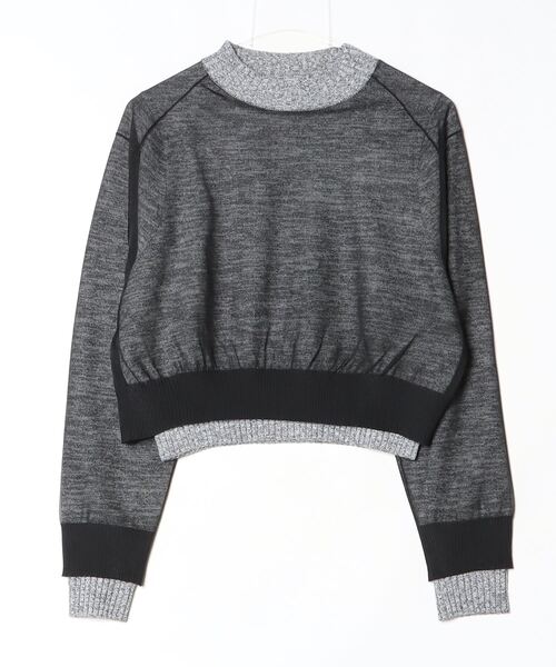 DOUBLE STANDARD CLOTHING（ダブルスタンダードクロージング）の「フィラメン天竺 レイヤードトップス（ニット/セーター・レディース・トップグレー・36/38）」の13枚目の写真