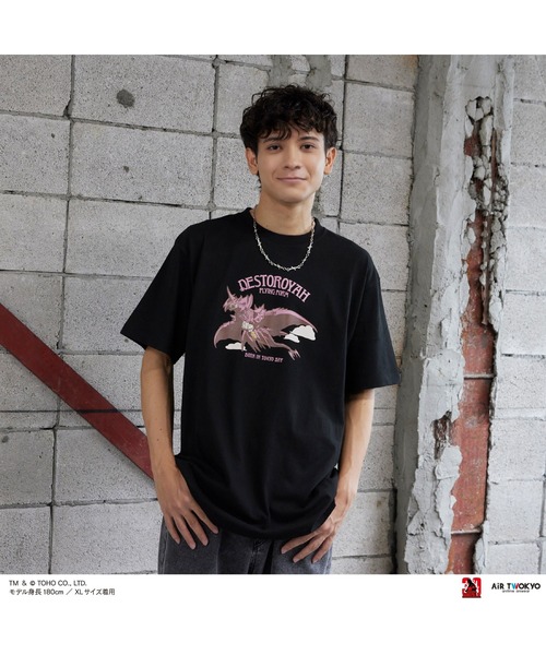 AIR TWOKYO(エアトゥーキョー)の「『ゴジラVSデストロイア』30周年 シーンイラストTシャツ 3(デストロイア(飛翔体))(Tシャツ/カットソー・メンズ・ホワイト/ブラック・XX-LARGE/X-LARGE/LARGE/MEDIUM/SMALL)」の1枚目の写真