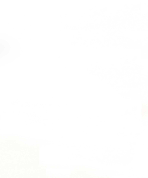 Port(ポート)の「【 eyedy / アイディー 】 SAG ROSE P/O PK(パーカー・メンズ・ブラック/サンドベージュ・M/XL/XXL/L)」の4枚目の写真