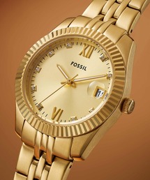 FOSSIL(tHbV)̃tHbV rv fB[X AiO XeX ES5338(AiOrv)