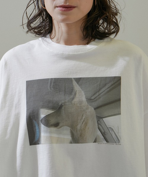 SALON adam et rope'(サロン アダム エ ロペ)の「【Alec Soth(アレック・ソス)】クロップドフォトTシャツ(Tシャツ/カットソー・レディース・ホワイト系その他2/ホワイト系その他4/ホワイト・FREE)」の6枚目の写真