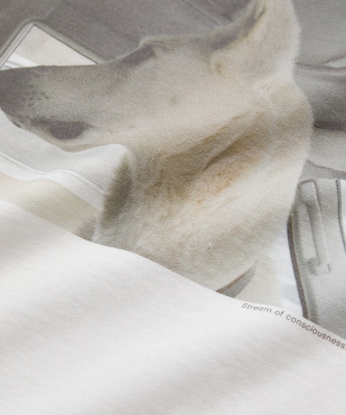 SALON adam et rope'(サロン アダム エ ロペ)の「【Alec Soth(アレック・ソス)】クロップドフォトTシャツ(Tシャツ/カットソー・レディース・ホワイト系その他2/ホワイト系その他4/ホワイト・FREE)」の10枚目の写真