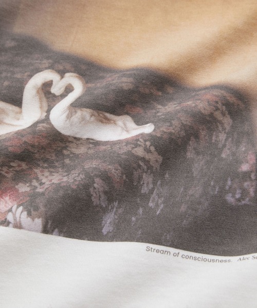 SALON adam et rope'(サロン アダム エ ロペ)の「【Alec Soth(アレック・ソス)】クロップドフォトTシャツ(Tシャツ/カットソー・レディース・ホワイト系その他2/ホワイト系その他4/ホワイト・FREE)」の11枚目の写真