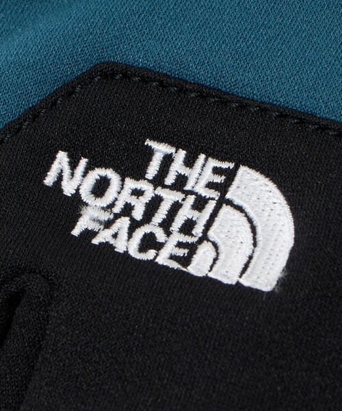 THE NORTH FACE（ザノースフェイス）の「＜THE NORTH FACE＞イーチップ グローブ タッチパネル対応（手袋・メンズ・コバルトブルー/ブラック・L/M）」の11枚目の写真