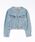 Levi's�i���[�o�C�X�j�́uLevi's�i���[�o�C�X�jCOLLARLESS SHRUNKEN 90S TRUCKER/�m�[�J���[�f�j���W���P�b�g�i�f�j���W���P�b�g�j�v�b���C�g�C���f�B�S�u���[