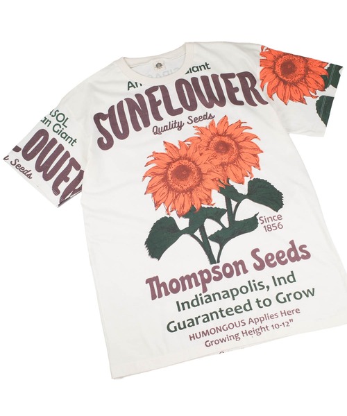 INNOCENT(イノセント)の「【T19】【EVERGREEN GUARDIAN/エバーグリーン ガーディアン】S/S TEE(Tシャツ/カットソー・メンズ・その他1/その他2・FREE)」の1枚目の写真