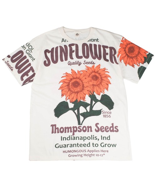 INNOCENT(イノセント)の「【T19】【EVERGREEN GUARDIAN/エバーグリーン ガーディアン】S/S TEE(Tシャツ/カットソー・メンズ・その他1/その他2・FREE)」の3枚目の写真