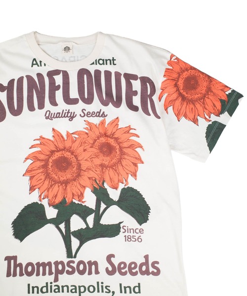 INNOCENT(イノセント)の「【T19】【EVERGREEN GUARDIAN/エバーグリーン ガーディアン】S/S TEE(Tシャツ/カットソー・メンズ・その他1/その他2・FREE)」の4枚目の写真