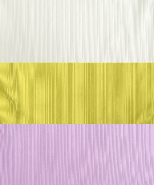 ANDJ(アンドジェイ)の「シアーランダムリブピンタックノースリーブトップス(タンクトップ・レディース・オフホワイト/イエロー/パープル・M)」の19枚目の写真