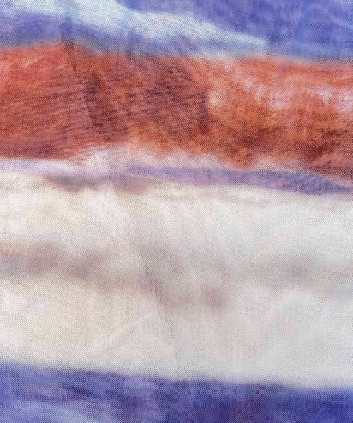 byYOUANCE（バイユアンス）の「シアーメロウプリントT（Tシャツ/カットソー・レディース・ブラック系その他/アニマル/オレンジ系その他/ブルー系その他/その他1/その他2/その他3・FREE）」の21枚目の写真