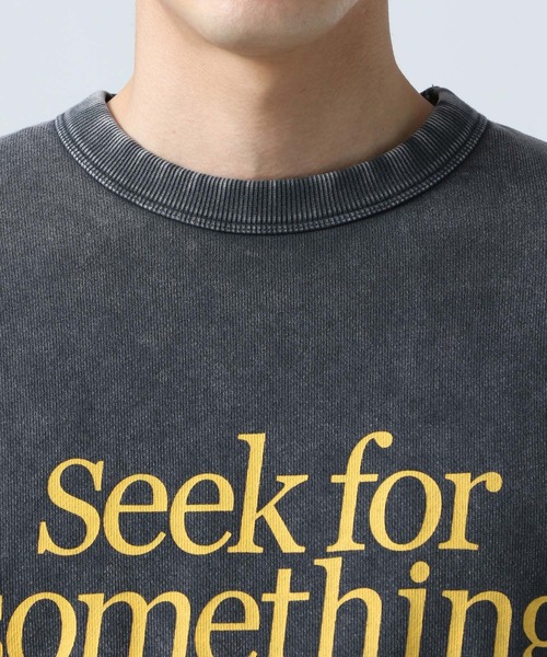 BAYFLOW(ベイフロー)の「スノーウォッシュスウェットプルオーバー(Tシャツ/カットソー・メンズ・ベージュ/グリーン/チャコール・MEDIUM/LARGE)」の15枚目の写真