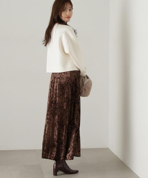 PROPORTION BODY DRESSING（プロポーションボディドレッシング）の「ベロアロングスカート / 1214220909（スカート・レディース・ブラウン/グレー・MEDIUM/SMALL）」の9枚目の写真