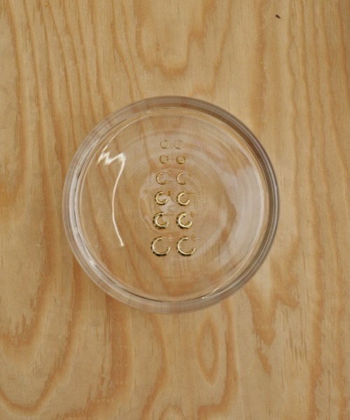 TODAYFUL(トゥデイフル)の「TODAYFUL Compact Hoop Pierce コンパクトフープピアス/12490907(ピアス(両耳用)・レディース・ゴールド/シルバー・ONE SIZE)」の7枚目の写真
