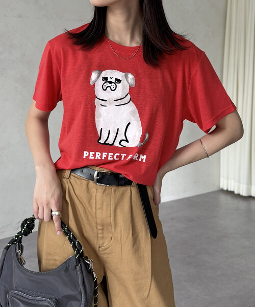 CPCM(シーピーシーエム)の「シアーフロッキー半袖T(Tシャツ/カットソー・レディース・チャコールグレー/ブルー/ホワイト系その他2/グレー/ネイビー/イエロー/レッド/ホワイト系その他/ホワイト・FREE)」の9枚目の写真