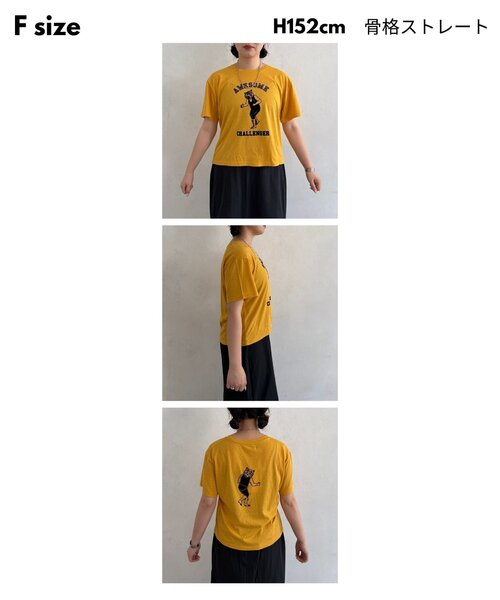 CPCM(シーピーシーエム)の「シアーフロッキー半袖T(Tシャツ/カットソー・レディース・チャコールグレー/ブルー/ホワイト系その他2/グレー/ネイビー/イエロー/レッド/ホワイト系その他/ホワイト・FREE)」の10枚目の写真