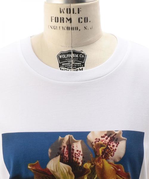 Drawer（ドゥロワー）の「＜FJURA＞ORCHID Tシャツ（Tシャツ