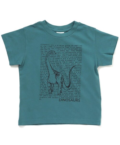 BREEZE(ブリーズ)の「/3柄ダイナソーロゴTシャツ(Tシャツ/カットソー・キッズ・エメラルド/オレンジ/ブラック・140/80/100/110/120/130/90/150)」の2枚目の写真